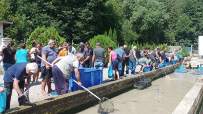 Обявиха бедствено положение в община Своге, населени места са без вода