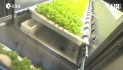 Българска космическа оранжерия може да изхранва първата колония на Марс