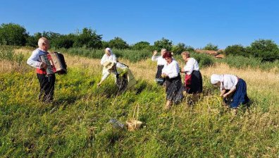 Магията на Еньовден: Слънцето, водата и билките придобиват лечебна сила