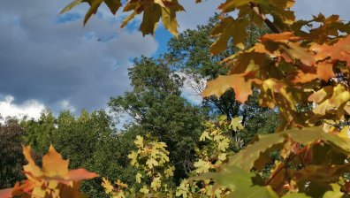 Мъгли, слънце и малко облаци в съботния ден