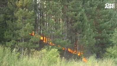 200 пожара са гасили огнеборците у нас през изминалата нощ