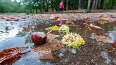 НИМХ обяви жълт код за значителен дъжд в събота (+КАРТА)