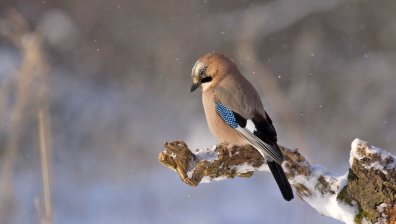 Изпращаме седмицата с облачно и студено време