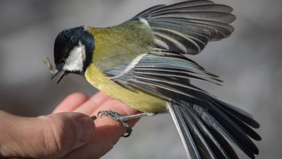 Рязка промяна - зимата отстъпва, живакът скача към 18 градуса
