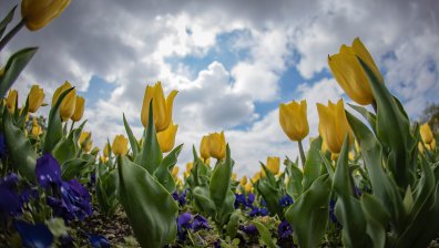 Слънчева събота, почти няма да вали, градусите минават 20°