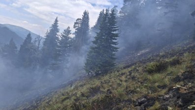 Дрон на доброволец вместо хеликоптер гаси пожара над Кирилова поляна