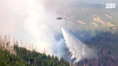300 декара гора пламнаха в Новозагорско 