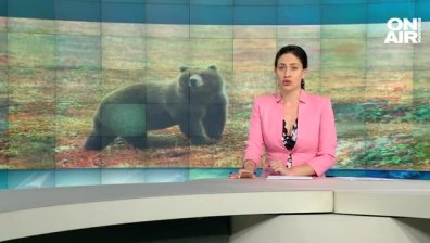 Централна емисия