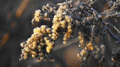 Слънчево януарско утро, през деня ще е до 12 градуса