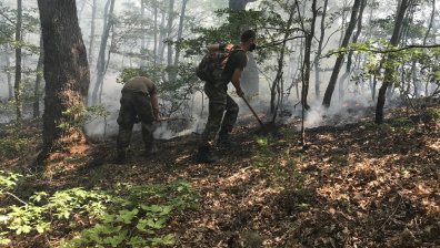 Десетки военни и днес помагат при гасенето на пожарите в страната