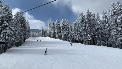 Боб чорба на Боровец - 8 лв., хотели затварят