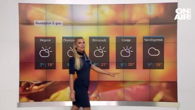 Централна прогноза