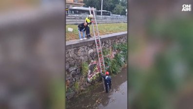 Щастлив край: Спасиха кученце от буйните води при Лъвов мост (+ВИДЕО)