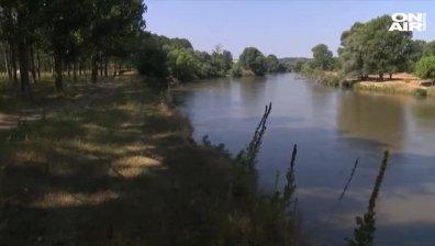 300 пъти завишение на нормите във водите на Марица край Димитровград