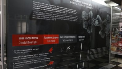Виртуални посещения в БАН по време на Европейската нощ на учените