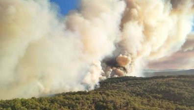 Подозират местни ловци за големия пожар край Ивайловград (ВИДЕО)