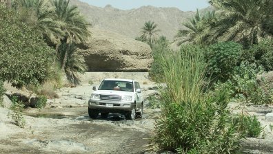 Водещите автомобилни компании със свити печалби от 10 г. насам