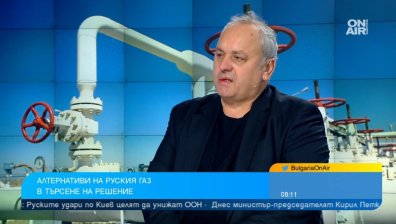 Експерти: Запазването на цената на газа е странно твърдение, пазарът трябва да я определи