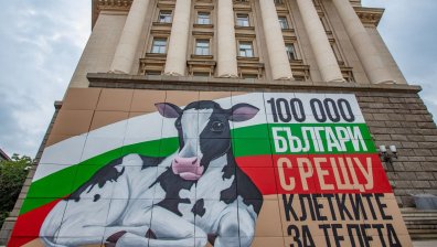 Животновъдите ни са обречени на фалит, ако премахнат клетките (ВИДЕО)