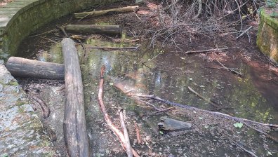 Изпочупени пейки, липса на кошчета, боклуци: Защо не умеем да пазим местата за отдих?