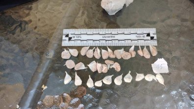 Голямо количество дрога и над 80 задържани за седмица след акция на СДВР