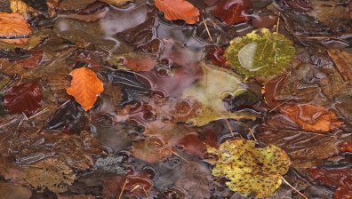 Времето в събота: Облачно и дъждовно