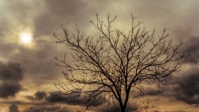 Облачна неделя и на места дъжд, кога да очакваме сняг?