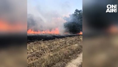 Панагюрище обяви частично бедствено положение заради пожара
