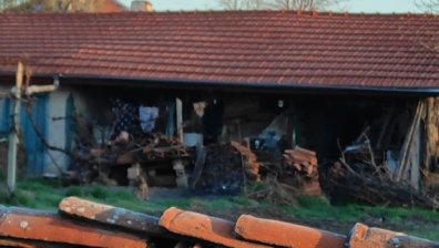 Сигнал: Малко кученце се отглежда при мизерни условия