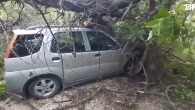 Щетите от бурята в Хисаря: Изкоренени дървета, паднали клони и отнесени покриви