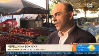 Голяма част от черешопроизводителите не знаели как и къде да продават