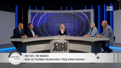 Пране на пари, оръжие, натиск от Украйна?: Къде е "заровено кучето" в казуса с "Баба Алино"