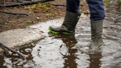 Обявиха бедствено положение в община Стрелча