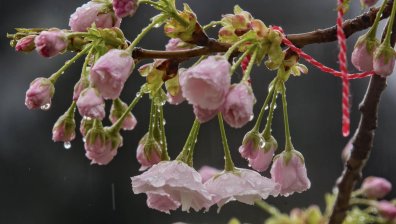 Дъжд и студ в следващите дни, прогнозата за Великден също не е розова