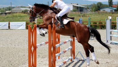 Конен спорт с прескачане на препятствия ДНЕС