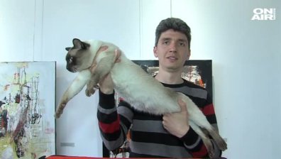 Котешко изложение показа редки породи в Благоевград