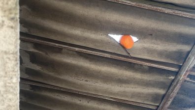 Сигнал от Helpbook: Подложени сме на терор, съседи ни замерват с плодове