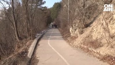 Граждани бранят велоалея на езерото Панчарево, инвеститор иска да прави гребна база