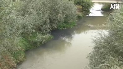 Отново сигнал за оцветена река в Русенско