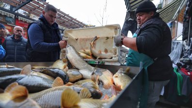 Опашки за шарани - традициите се спазват