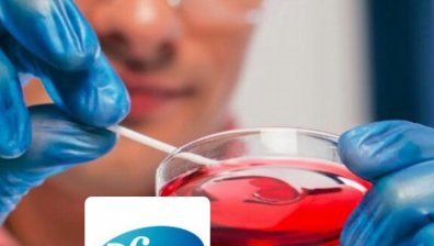 Pfizer са потърсили Actavis за евентуална сделка