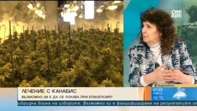 Родители на деца с епилепсия искат легализация на маслото от канабис