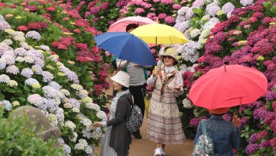 В Япония също отчетоха рекордни температури