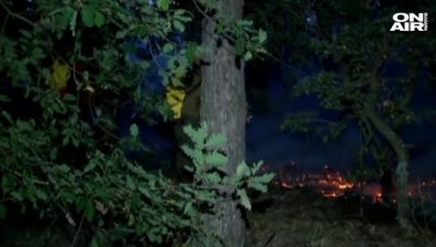 Голям горски пожар  избухна снощи край Благоевград