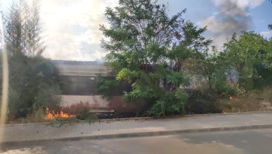 Овладяха пожара край над Калугерово и Лесичово