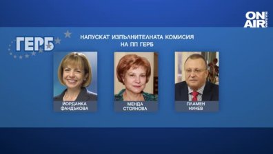 Трима от изпълнителната комисия на ГЕРБ напускат ръководството