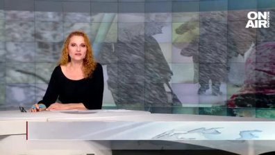 Обедна емисия