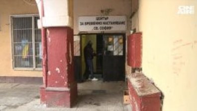Приютите за бездомни се пълнят при минусовите температури