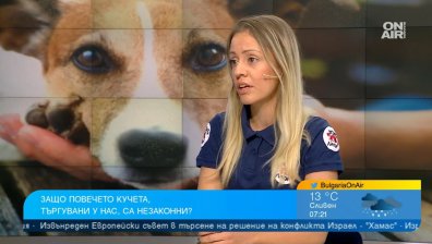 Незаконната търговия с кучета се увеличава - как да сме сигурни какъв любимец взимаме?