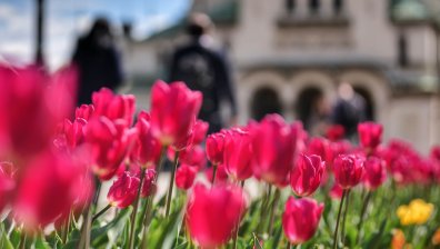 Топло начало на седмицата, вадим късия ръкав, но не за дълго